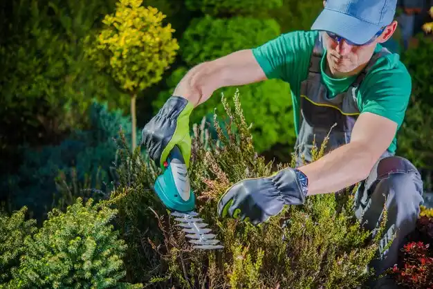landscaping services Lyman